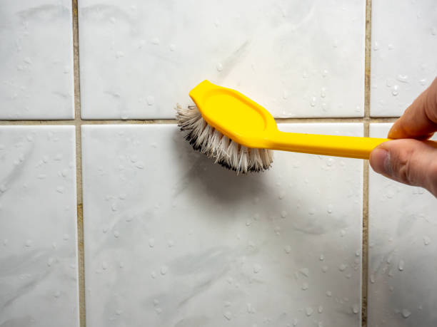 Best Mold Remediation  in Jefferson, NC