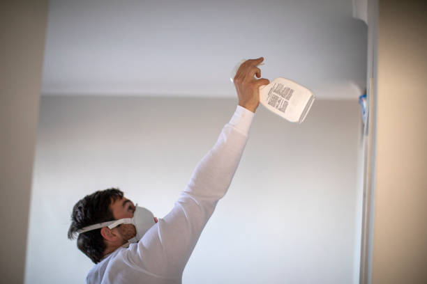  Jefferson, NC Mold Removal Pros