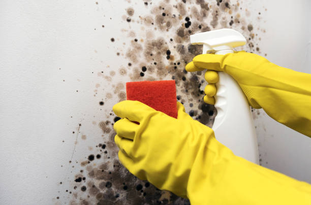 Water Damage Restoration in Jefferson, NC