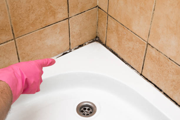 Best Crawl Space Mold Removal  in Jefferson, NC